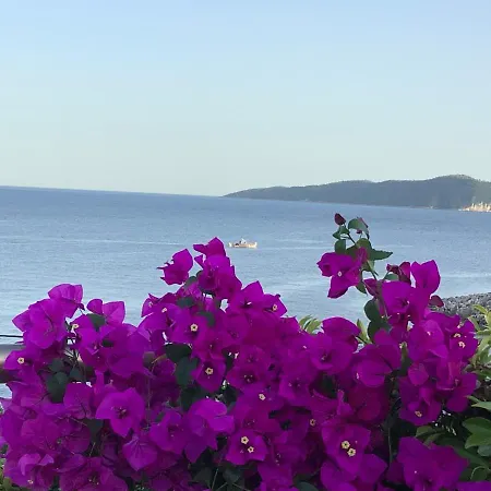 Limonari Bay Villas * Meganisi